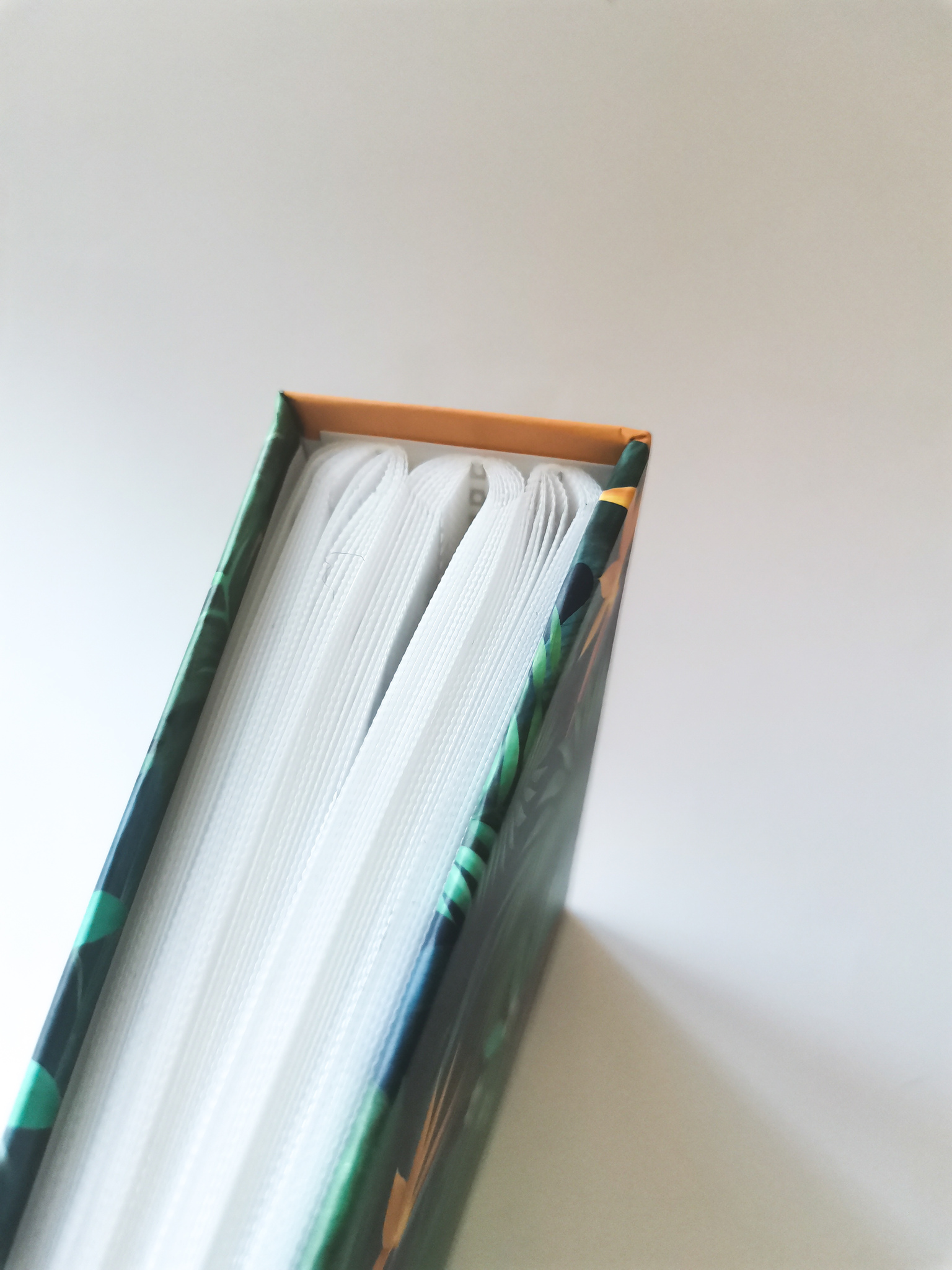 Фотоальбом 10*15 100ф ПОЛИНОМ Belle Fleur Райский цветок, арт. FA 100.008-1