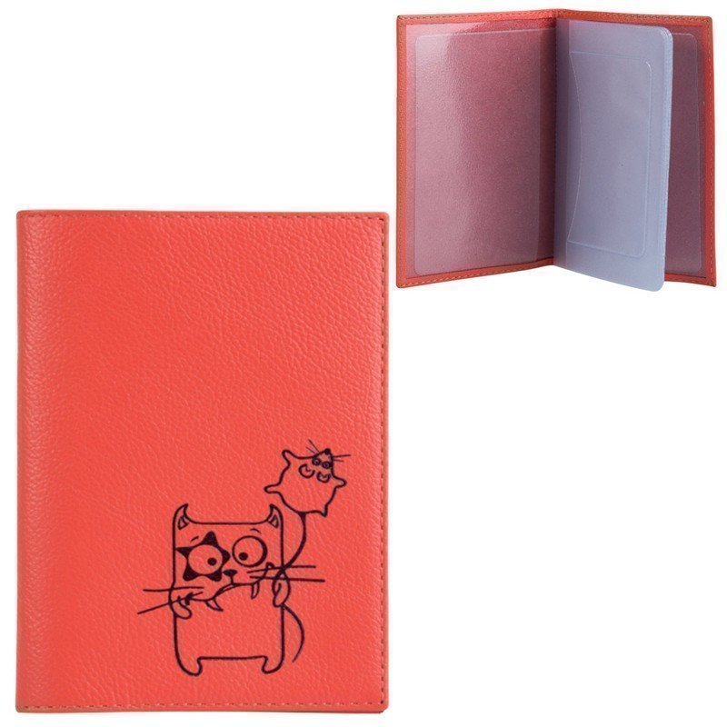 Обложка на водительское удостоверение Friends ASKENT грейфрут, арт. BV.56.AM