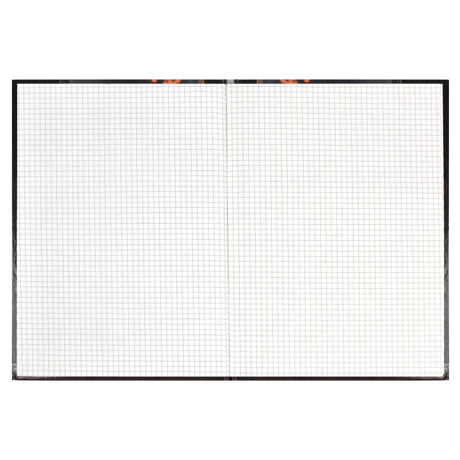 Тетрадь А4 96листов клетка ФЕНИКС Мегаполис твердая обложка, арт. 61691