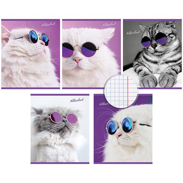 Тетрадь А5 48л клетка ПЗБМ Кот Базил ассорти, арт. 029211