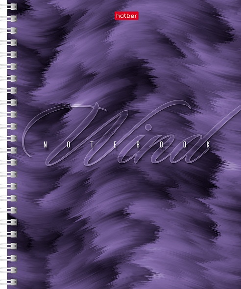 Тетрадь А5 80л клетка спираль ХАТБЕР Ветер ассорти, арт. 80Т5В1гр