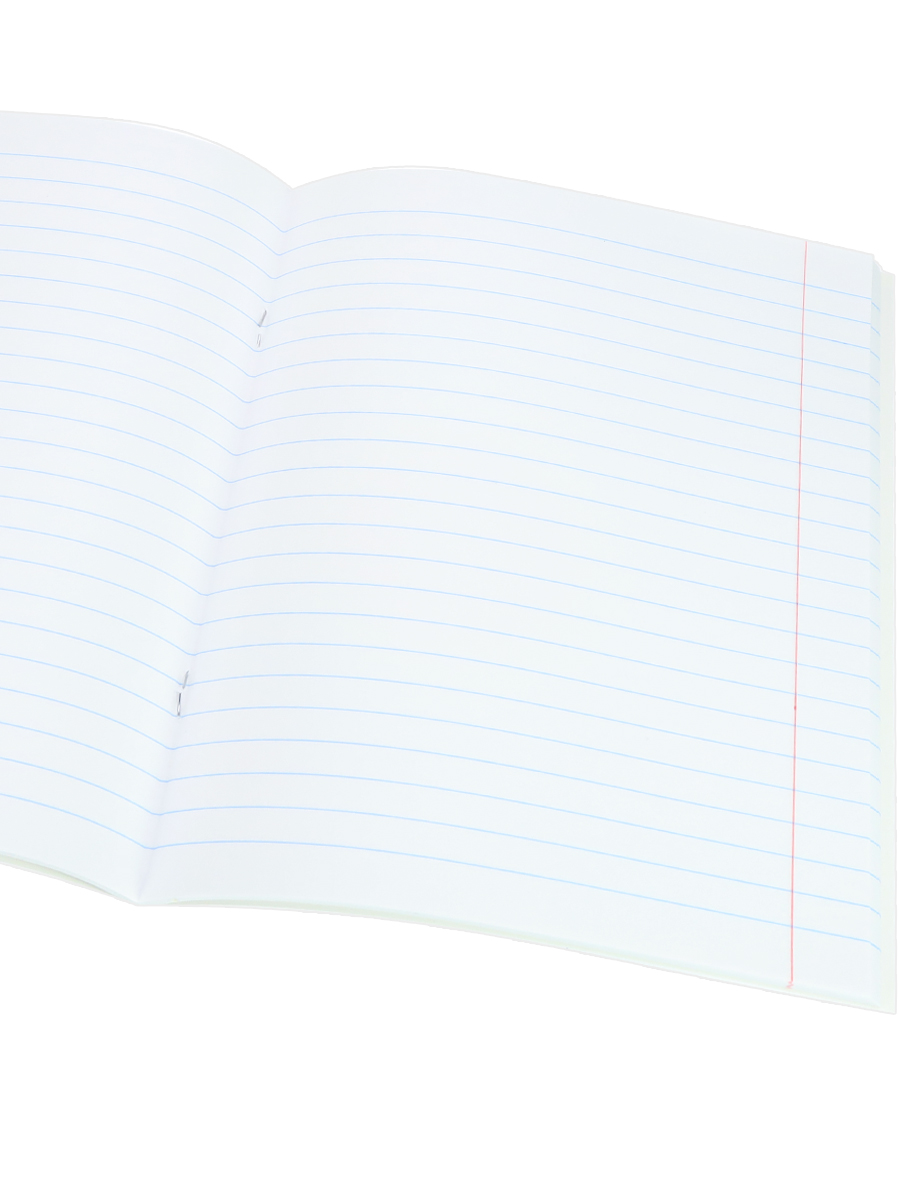 Тетрадь предметная Русский язык 48л линия ПРОФ-ПРЕСС Аниме, арт. 48-9429