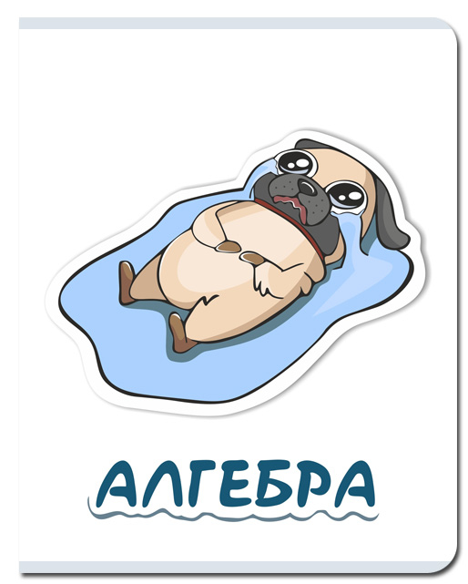 Тетрадь предметная Алгебра 48л клетка FINE BOOKS Sticker, арт. FB240