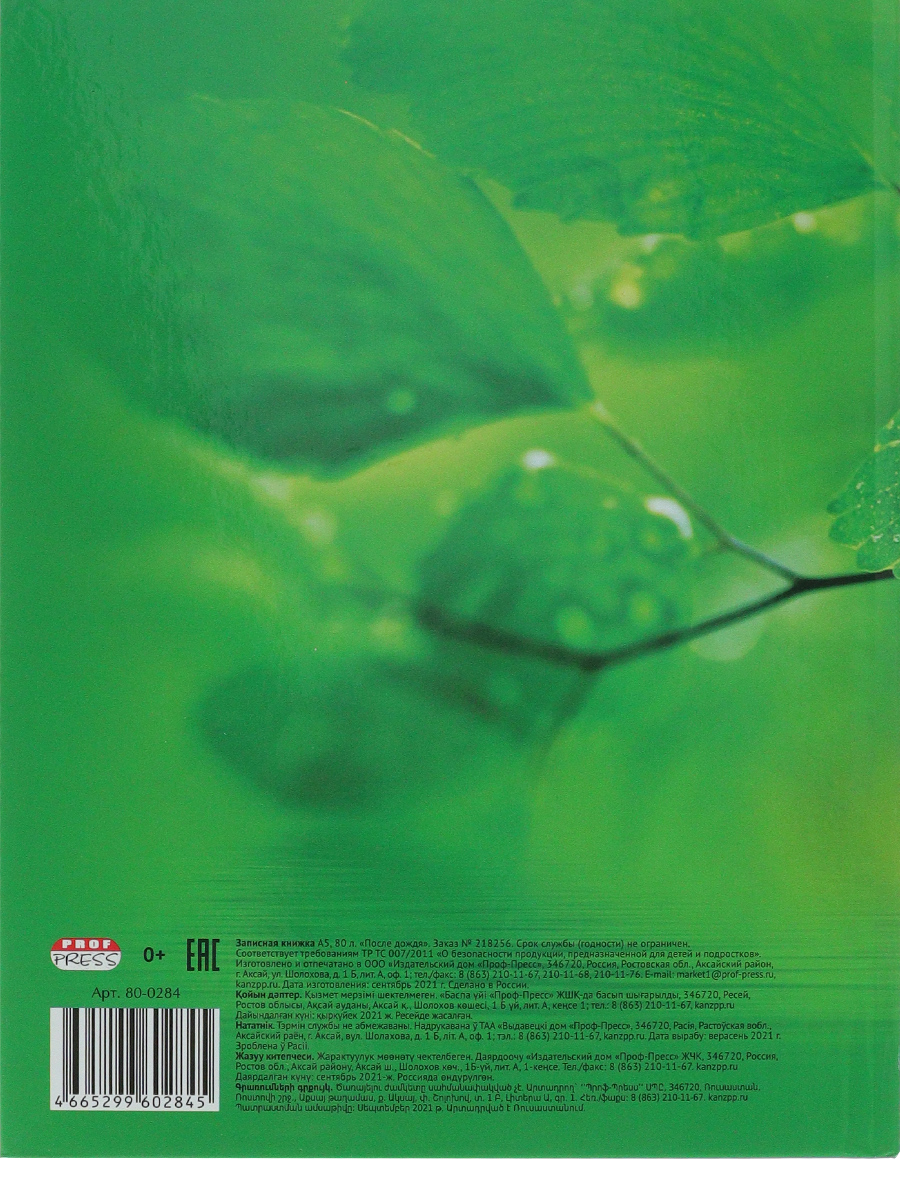 Записная книжка А5 80листов клетка ПРОФ-ПРЕСС После дождя твердая обложка, арт. 80-0284