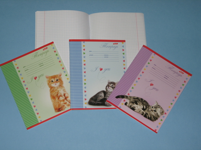 Тетрадь А5 18л линия ХАТБЕР Котята ассорти, арт. 18Т5В2