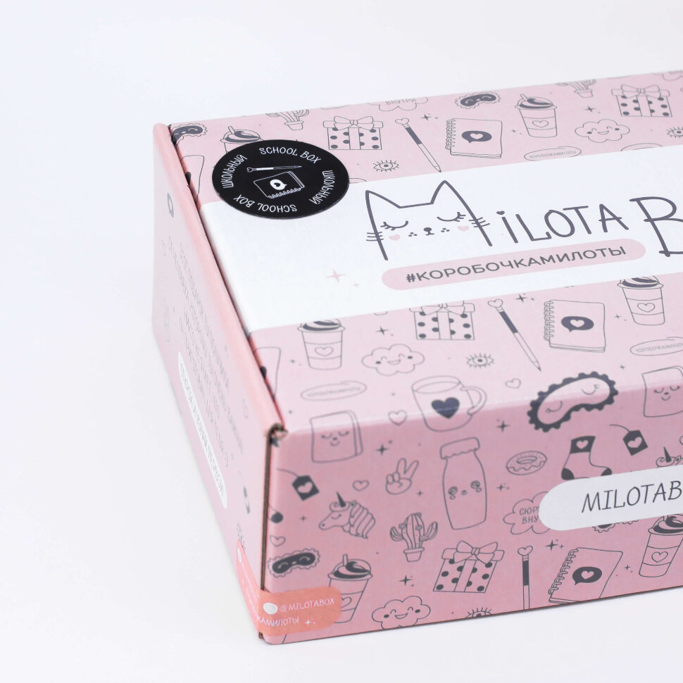 Подарочный набор MilotaBox School, арт. MB100