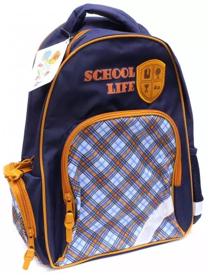Рюкзак школьный ФЕНИКС Шотландка, арт. 43377
