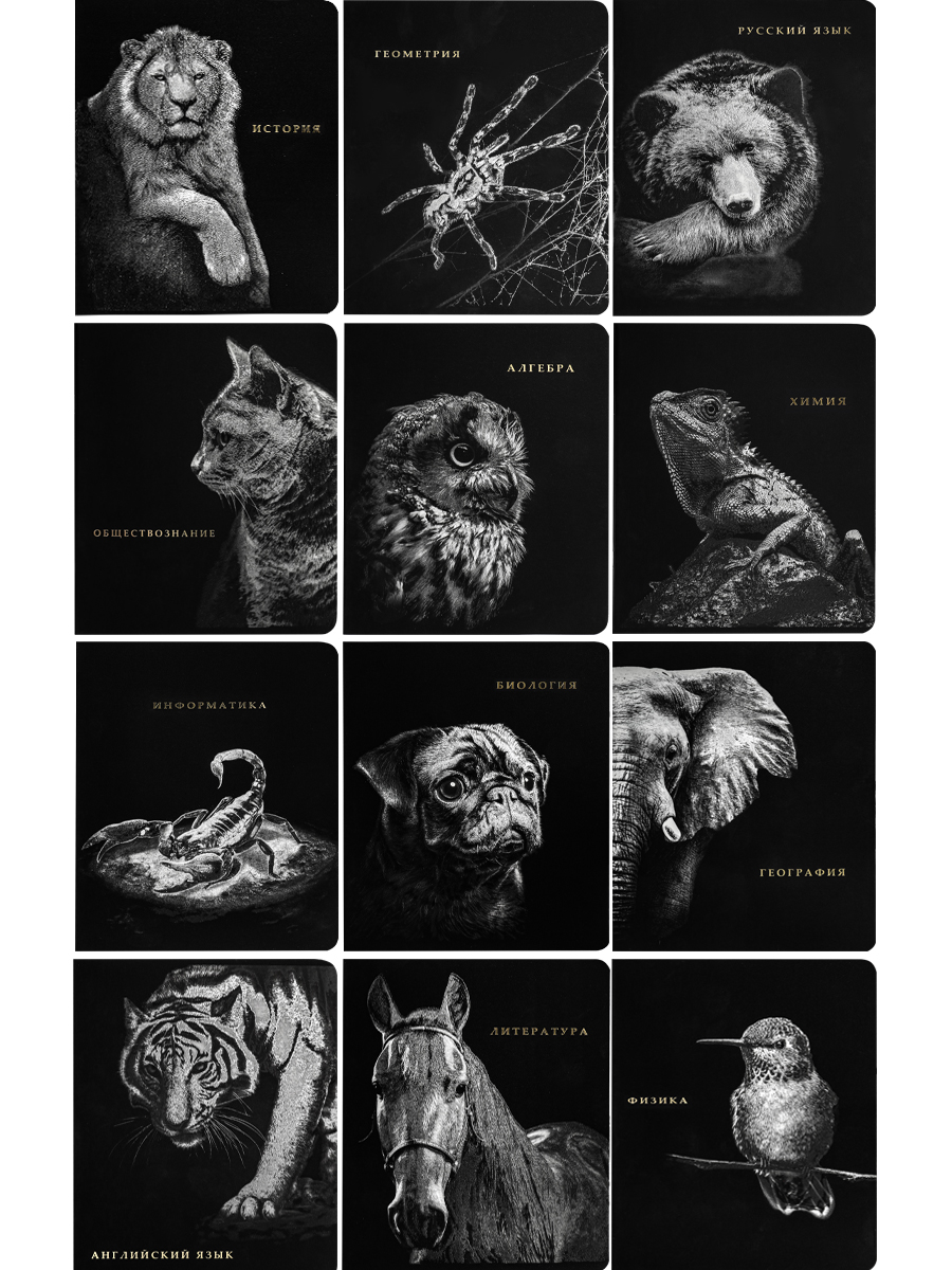 Тетрадь предметная комплект 12шт 48л ПРОФ-ПРЕСС BLACKSOFT, арт. 48-1744