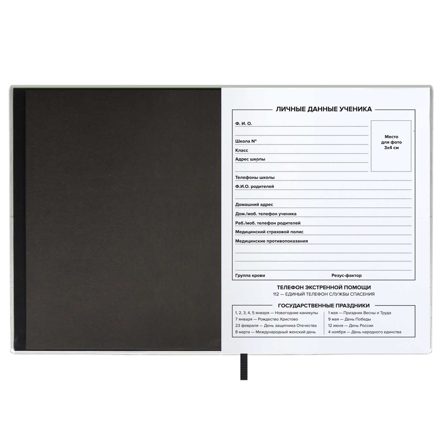 Дневник 1-11 класс мягкая обложка ФЕНИКС Девушка съемная обл, арт. 62278