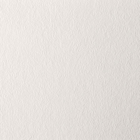 Папка для пастели А4 20л 200г/м2 BRAUBERG Скорлупа слоновая кость, арт. 126306