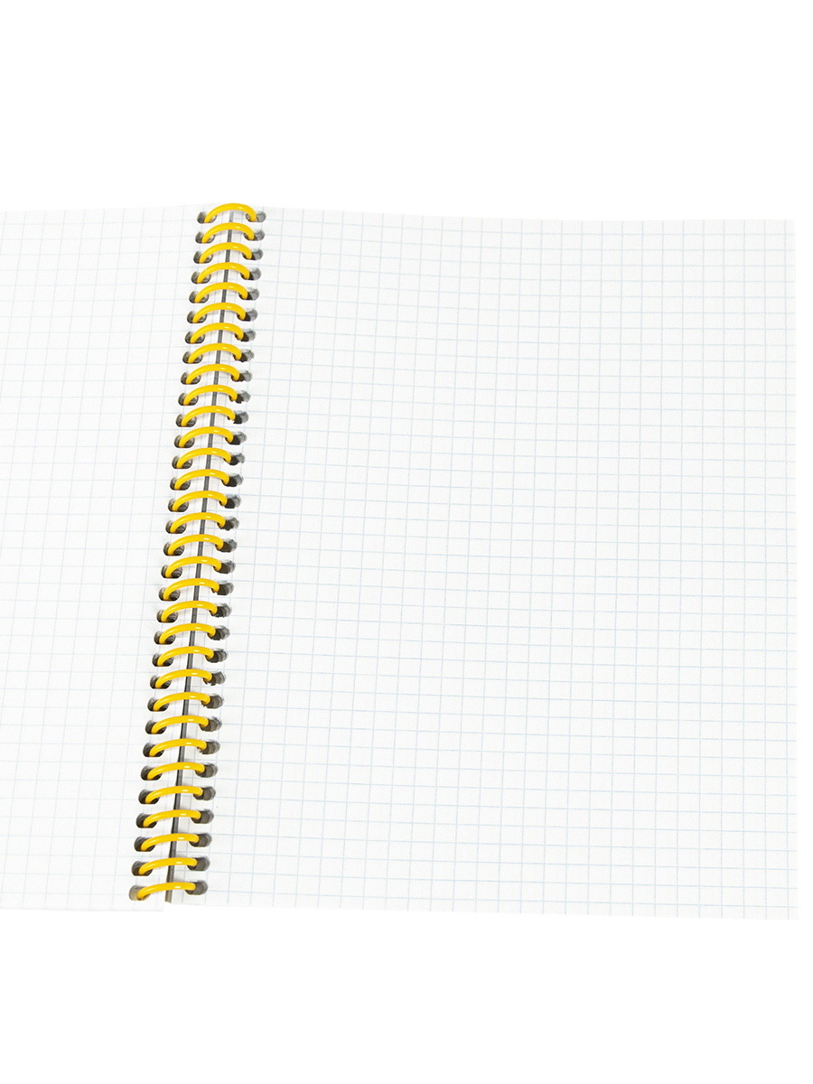 Записная книжка А5 80л клетка спираль ПРОФ-ПРЕСС Нежные бутоны, арт. 80-0597