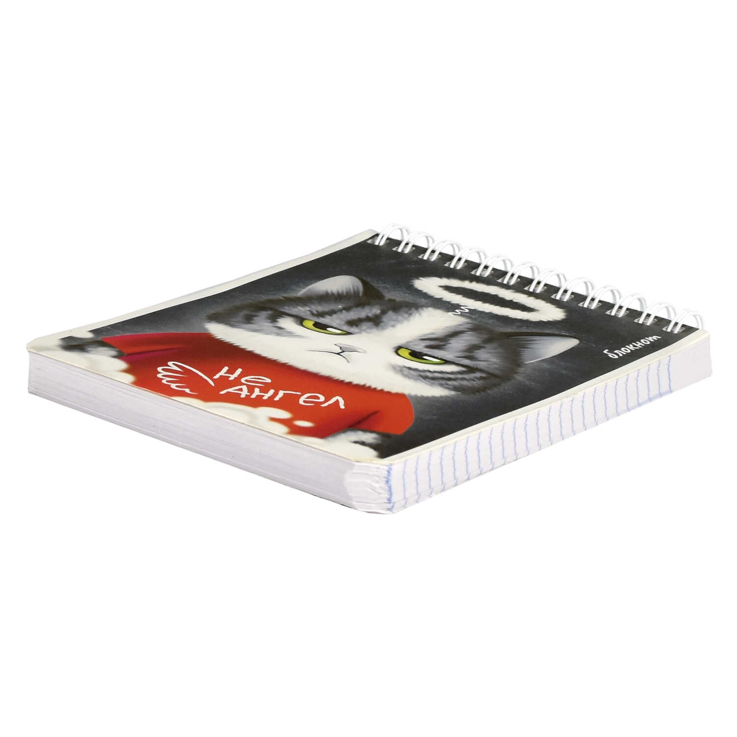 Блокнот А6 120л клетка спираль ФЕНИКС Аниме кот, арт. 64478