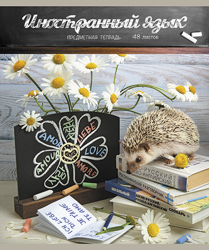 Тетрадь предметная Иностранный язык 48л линия ПЗБМ Тайная жизнь ежей, арт. 028542