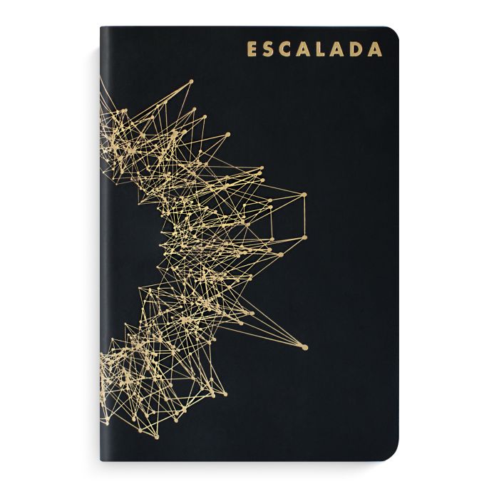Записная книжка А5 96л в точку ФЕНИКС Escalada soft touch искусственная кожа мягкая обложка черный металлик, арт. 50176