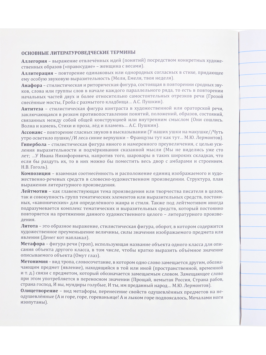 Тетрадь предметная Литература 48л линия ПРОФ-ПРЕСС Аниме, арт. 48-9428