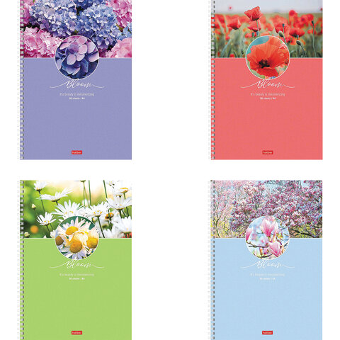 Тетрадь А4 96л клетка спираль ХАТБЕР Красота цветения ассорти, арт. 96Т4В1гр