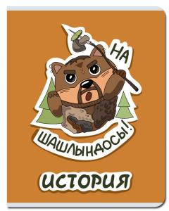 Тетрадь предметная История 48л клетка FINE BOOKS Sticker, арт. FB245
