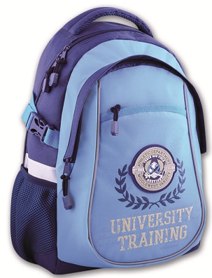 Рюкзак школьный ФЕНИКС Эмблема на голубом мягкая уплотненная спинка, арт. 39943