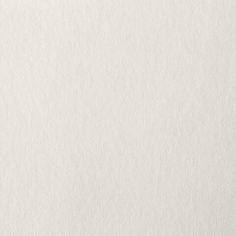 Папка для пастели А4 20л 200гр/м2 BRAUBERG Холст слоновая кость, арт. 126307