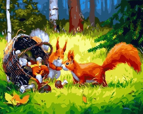 Картина по номерам с акриловыми красками на подрамнике 40*50 NN Белочки , арт. GX24832