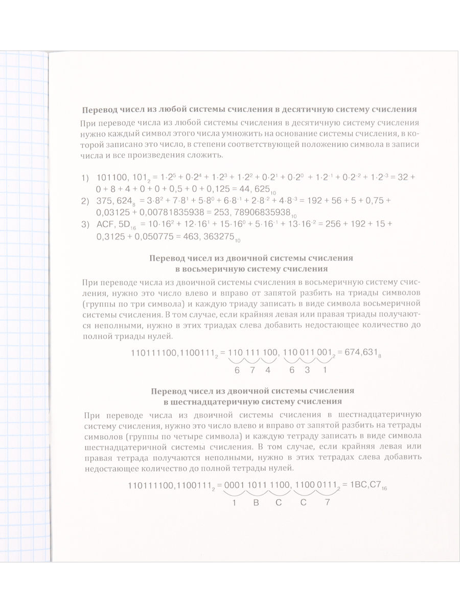 Тетрадь предметная Информатика 48листов клетка ПРОФ-ПРЕСС  Школьные мемасики, арт. 48-9652