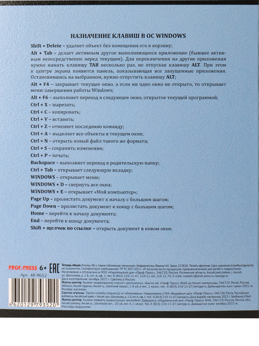 Тетрадь предметная Информатика 48листов клетка ПРОФ-ПРЕСС  Школьные мемасики, арт. 48-9652