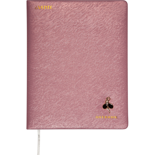 Дневник 1-11 класс твердая обложка искусственная кожа deVENTE Ballerina, арт. 2022233