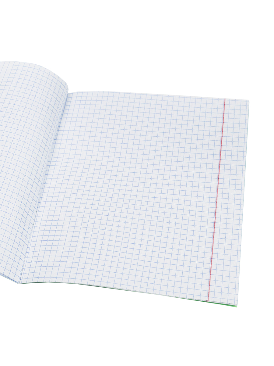 Тетрадь А5 12листов клетка ПРОФ-ПРЕСС Зеленая обложка , арт. 12-5748