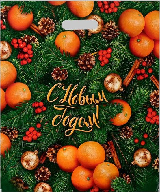 Пакет полиэтиленовый с пробивной ручкой 40*47 Спелая зима, арт. 5193307