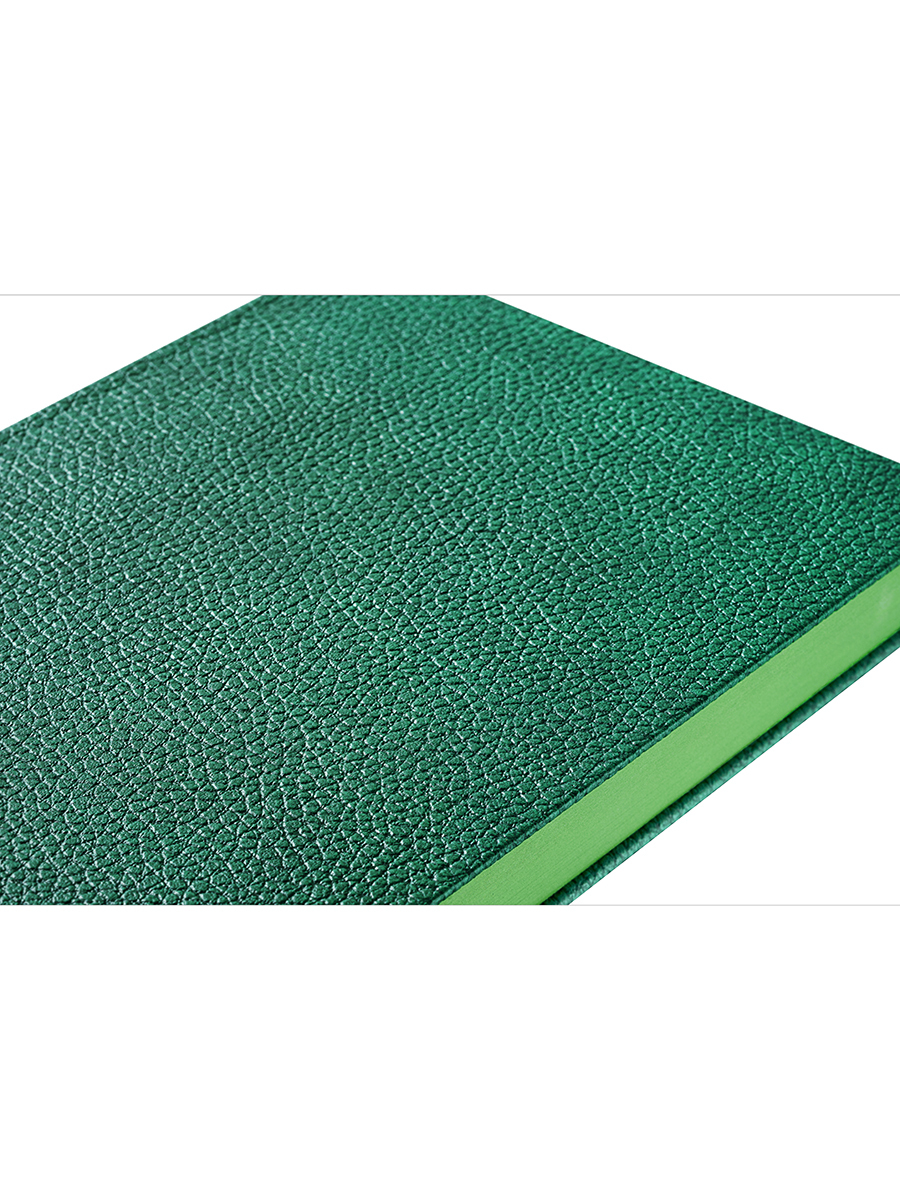 Ежедневник недатированный А5 ПОЛИНОМ Kiwi иск кожа зеленый срез светло-зеленый, арт. 3179