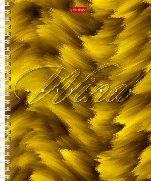 Тетрадь А5 80л клетка спираль ХАТБЕР Ветер ассорти, арт. 80Т5В1гр