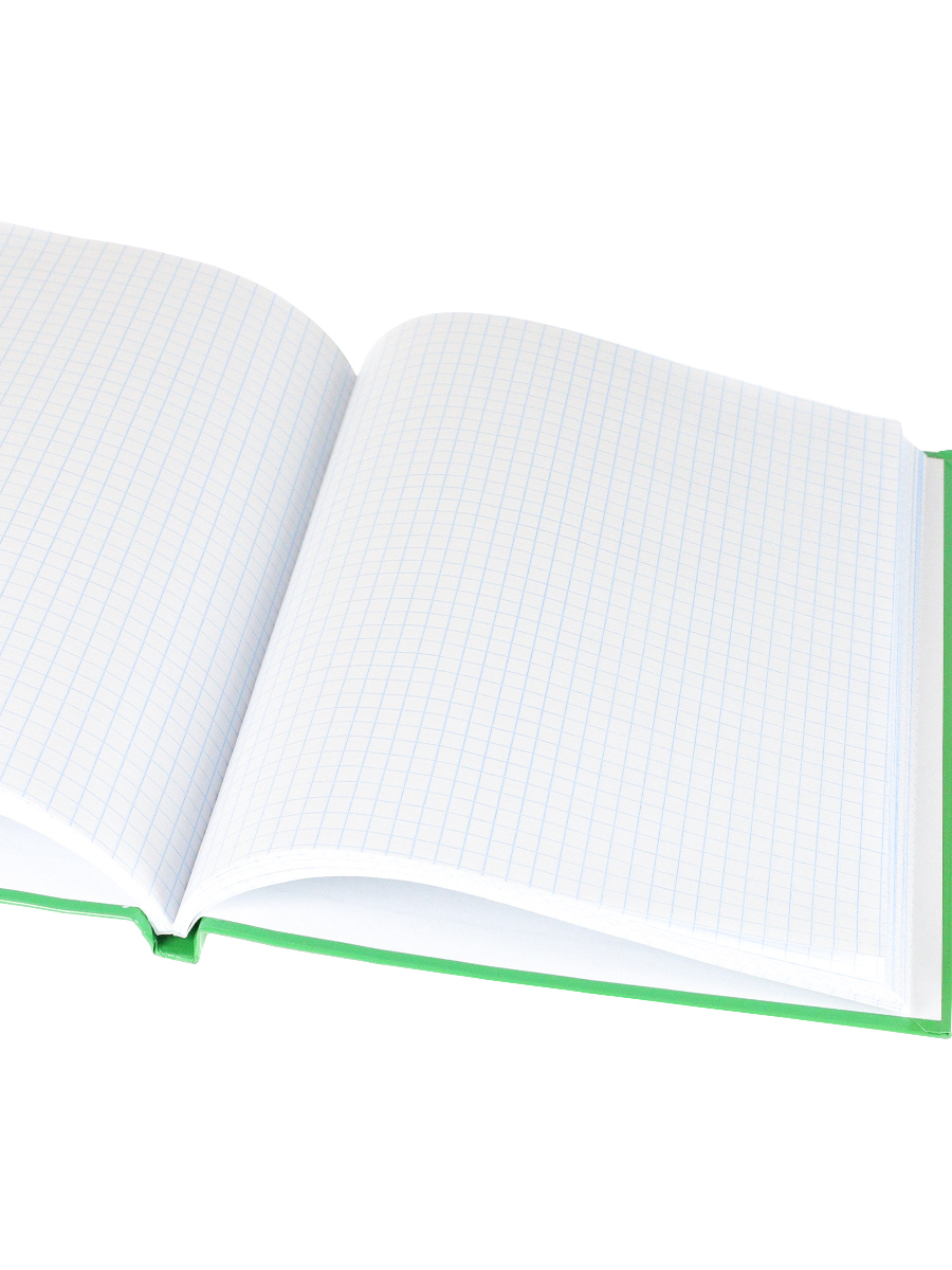 Записная книжка А5 80листов клетка ПРОФ-ПРЕСС После дождя твердая обложка, арт. 80-0284