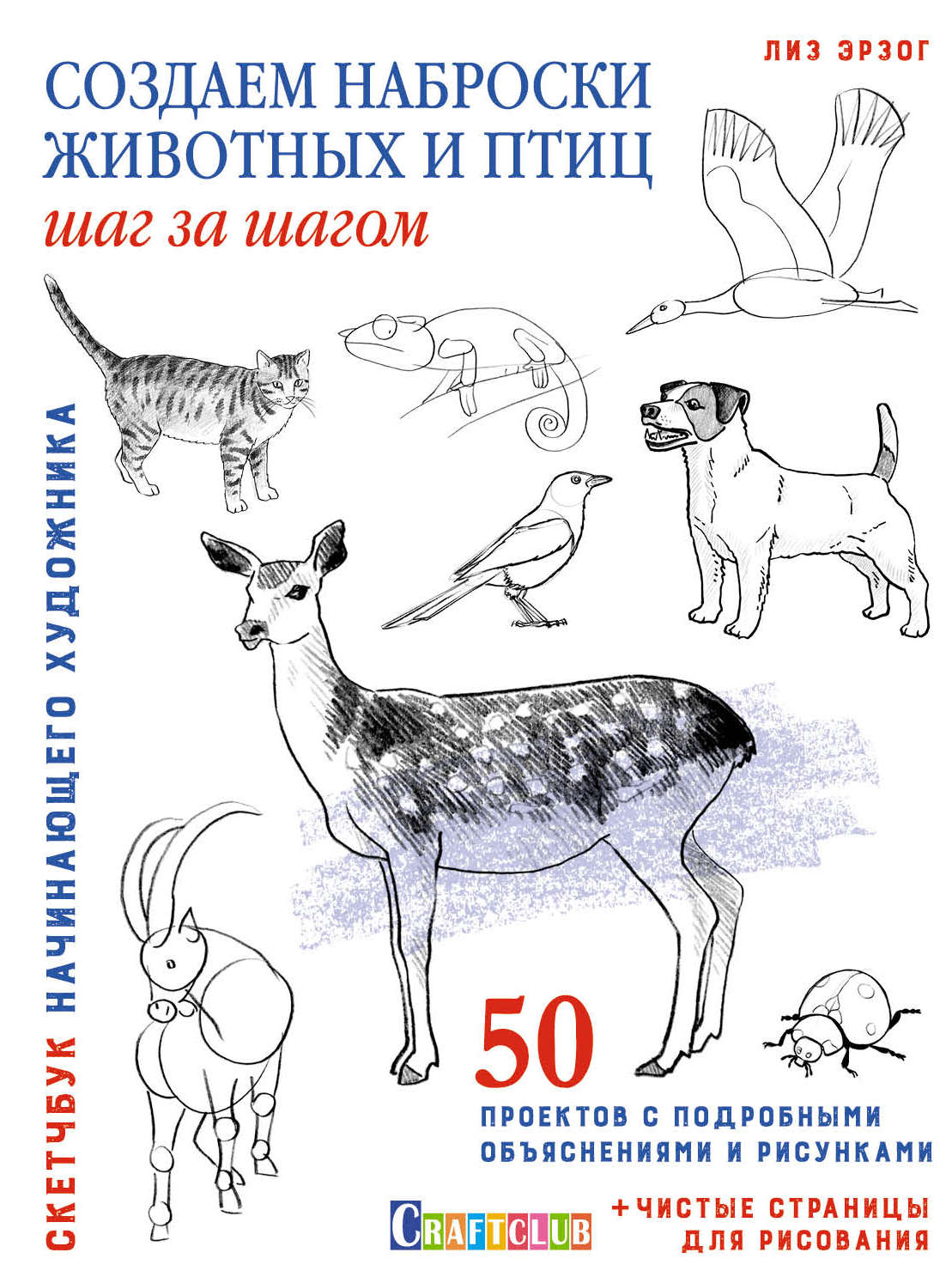 Книжка развивающая Шаг за шагом Наброски животных и птиц Лань КОНТЭНТ, арт. 3226