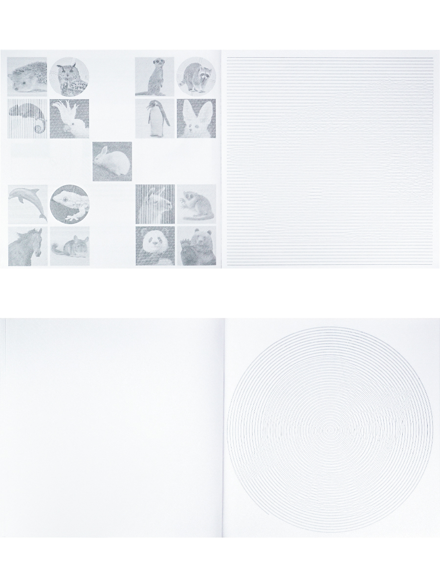 Раскраска антистресс SpirRelax ПРОФ-ПРЕСС Mix Экзотические животные, арт. Р-5844