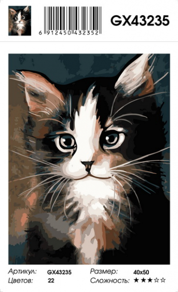 Картина по номерам с акриловыми красками 40*50 Мур-мяу котенок NN, арт. GX43235