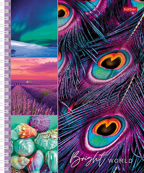 Тетрадь А5 80л клетка спираль ХАТБЕР Яркая жизнь ассорти, арт. 80Т5В1гр