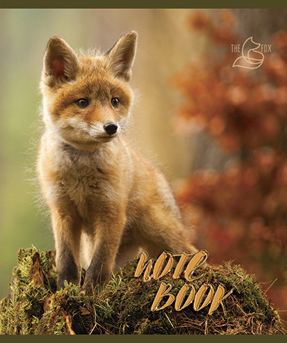 Тетрадь А5 48л клетка ПЗБМ Хитрый лис ассорти, арт. 028061