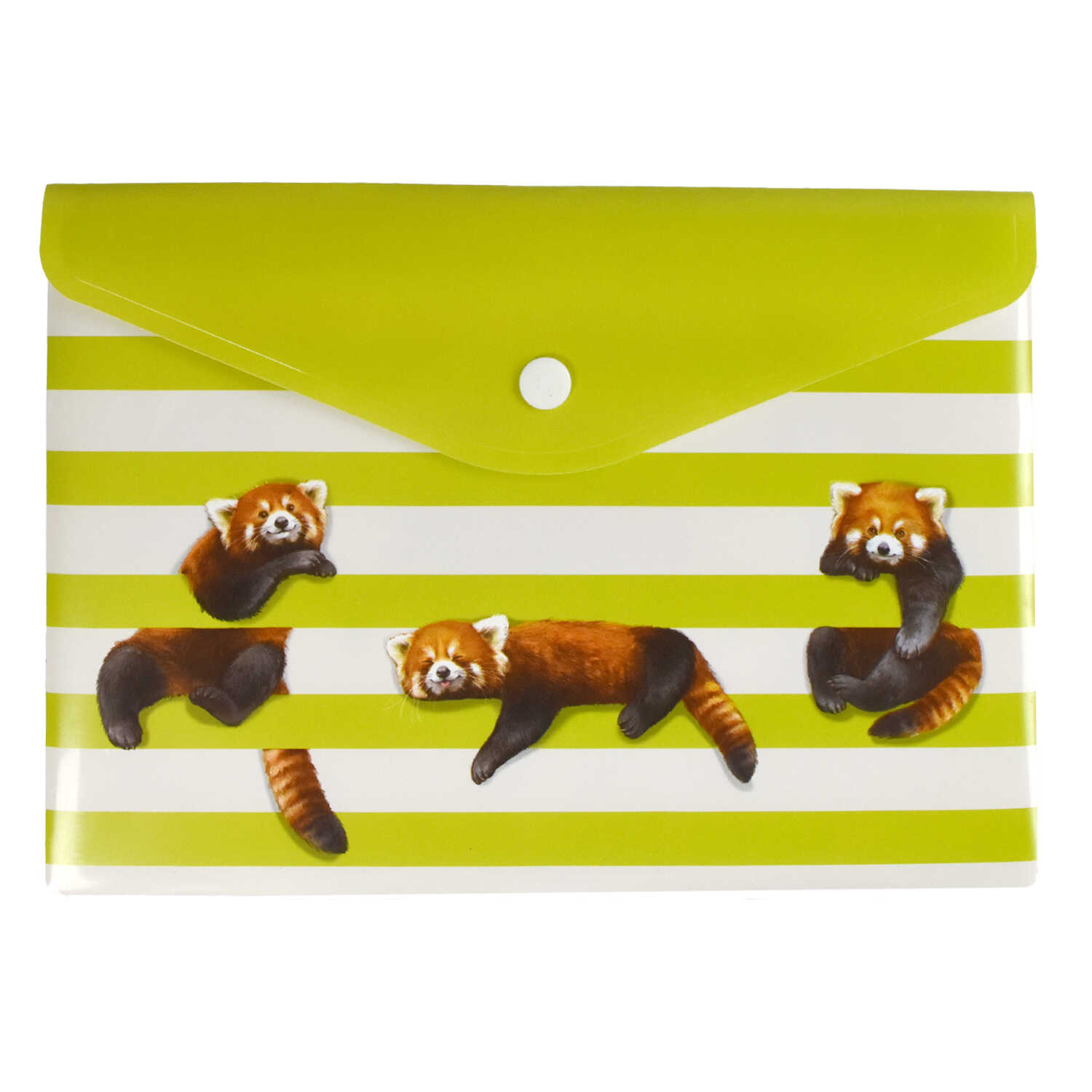 Папка конверт на кнопке А5 ФЕНИКС Рыжие панды, арт. 53193