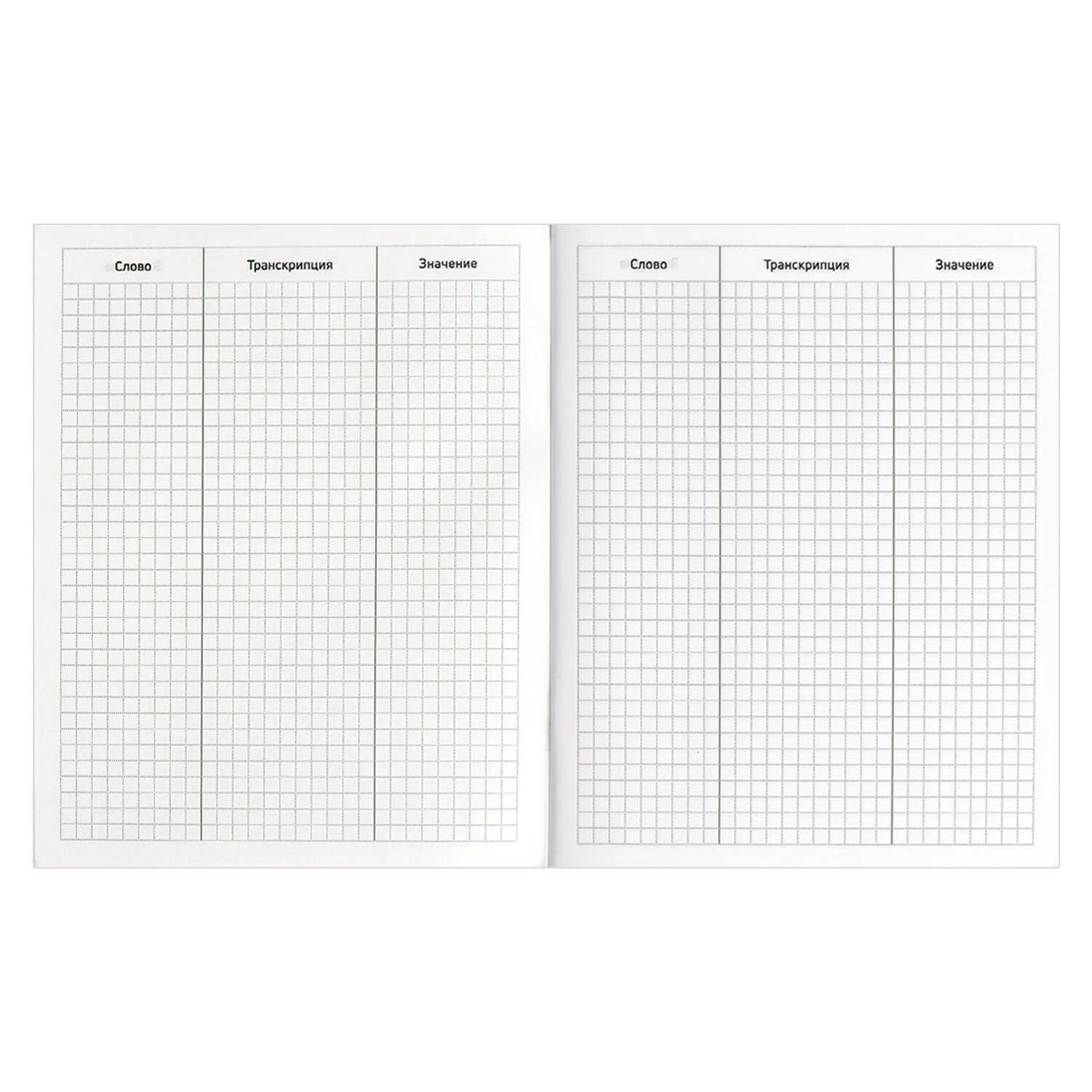 Тетрадь-словарь для записи иностранных слов А5 48л ФЕНИКС Книга путешественника, арт. 66525