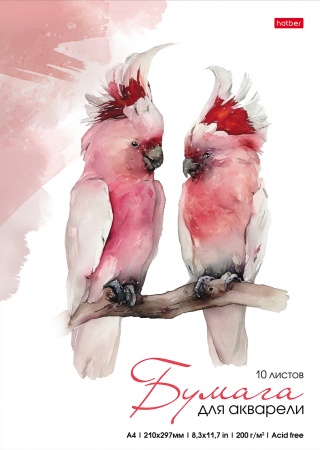 Папка для акварели А4 10л 200г/м2 ХАТБЕР Какаду, арт. 10Ба4тВ_22173