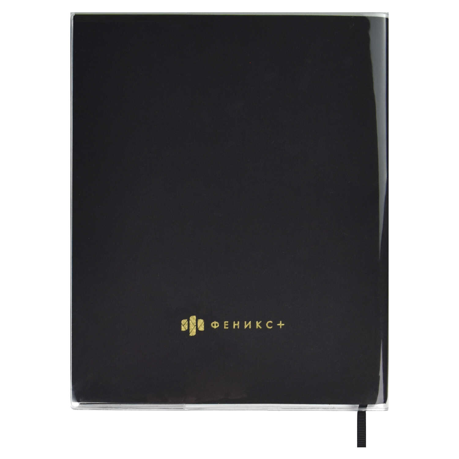 Дневник 1-11 класс мягкая обложка ФЕНИКС Девушка съемная обл, арт. 62278