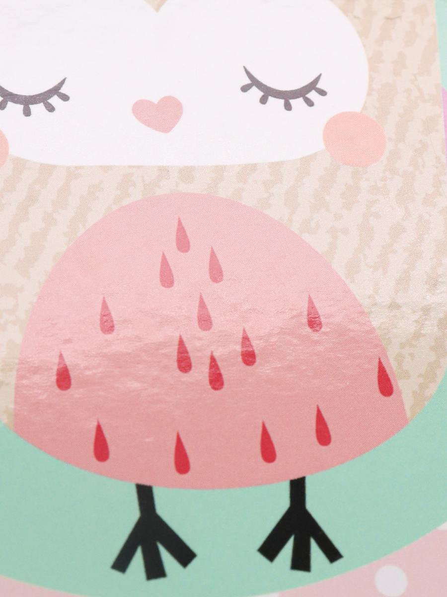 Записная книжка А5 40л клетка ПРОФ-ПРЕСС Мечтательная сова твердая обложка, арт. К48-5603