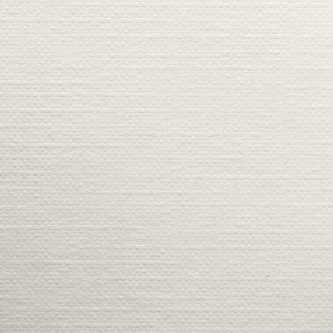 Папка для пастели А4 20л 200гр/м2 BRAUBERG Холст слоновая кость, арт. 126307