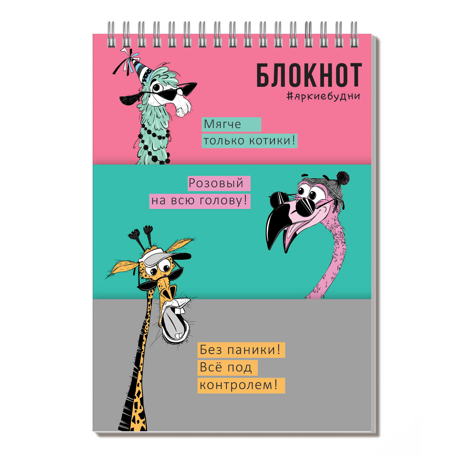 Блокнот А5 60л клетка спираль ФЕНИКС Упс компания, арт. 64298