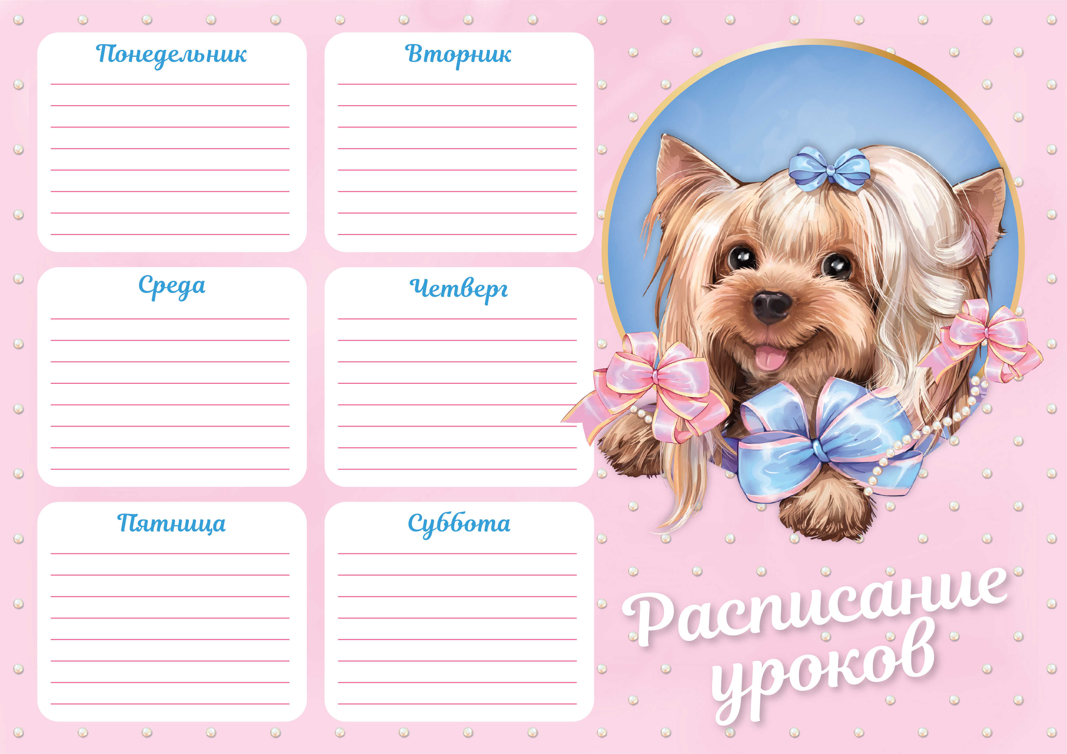 Плакат Расписание уроков А4 ФЕНИКС Йорк с бантом, арт. 63542/К