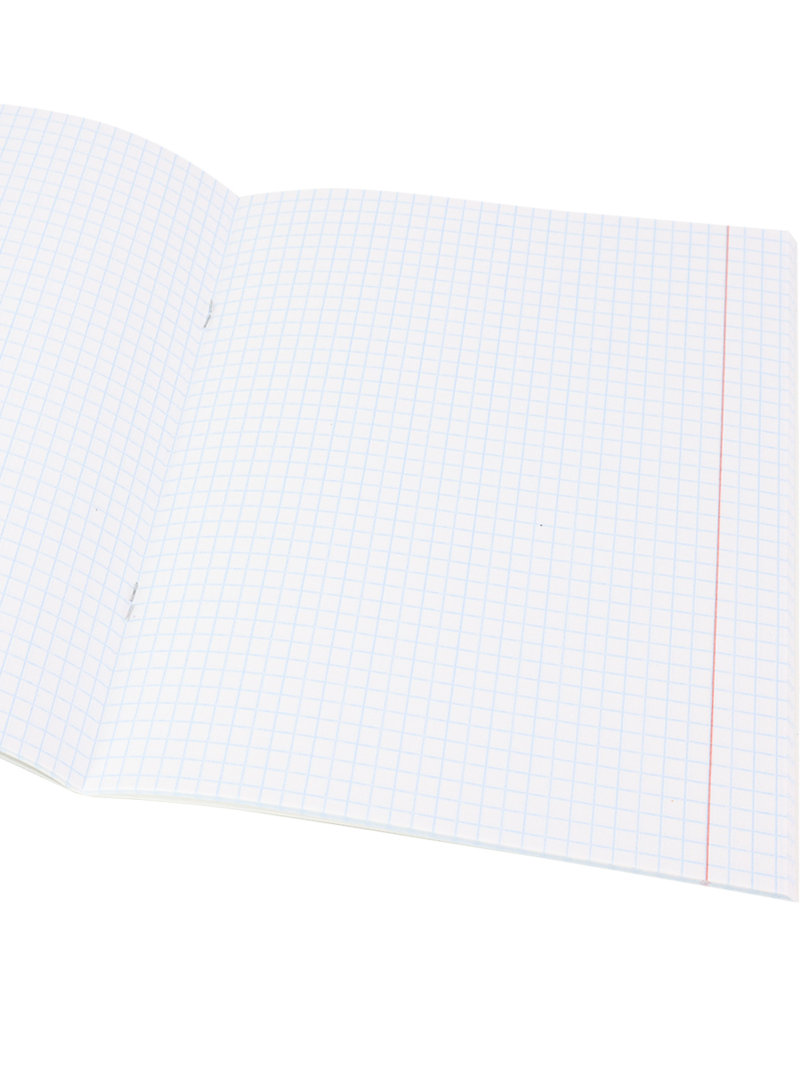 Тетрадь предметная Биология 48листов клетка ПРОФ-ПРЕСС Аниме, арт. 48-9416