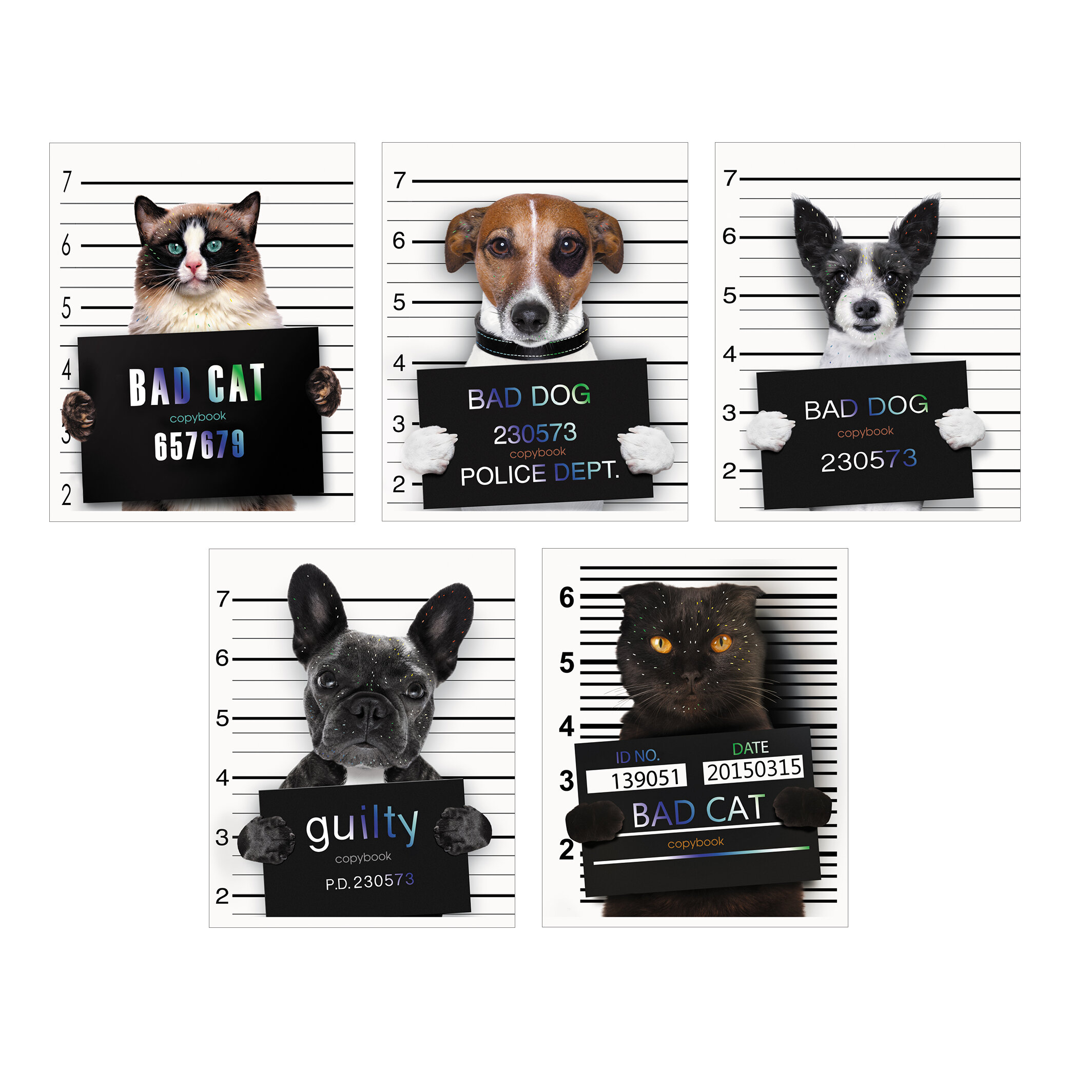 Тетрадь А5 48л клетка LISTOFF Пушистые хулиганы ассорти, арт. ТКФ487946