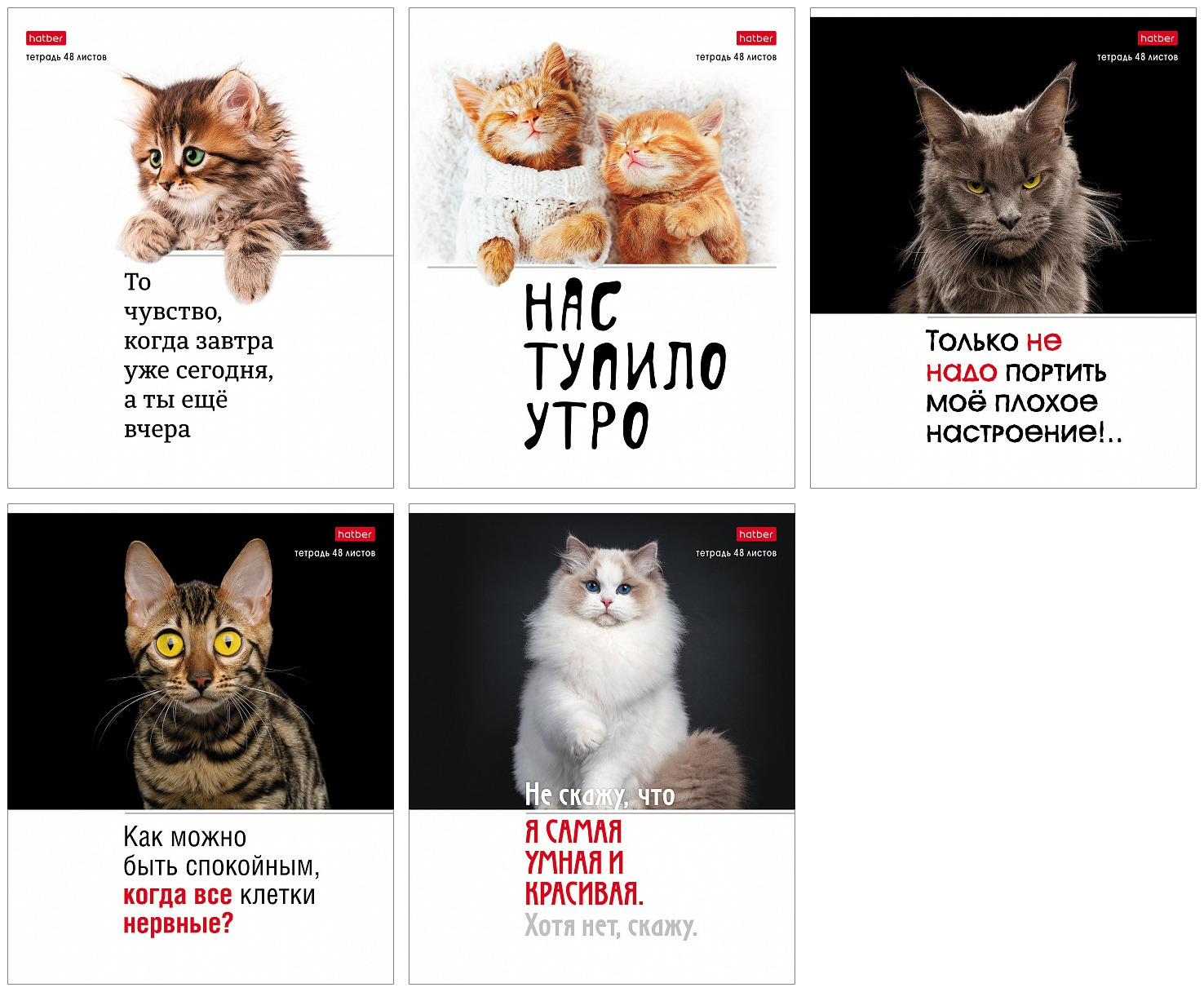 Тетрадь А5 48л клетка ХАТБЕР Котоюмор ассорти, арт. 48Т5В1