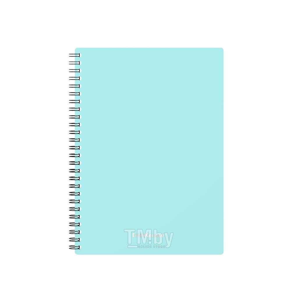 Тетрадь А5 80л клетка спираль ПОЛИНОМ Pastel Collection Mint пластиковая обложка, арт. 3402