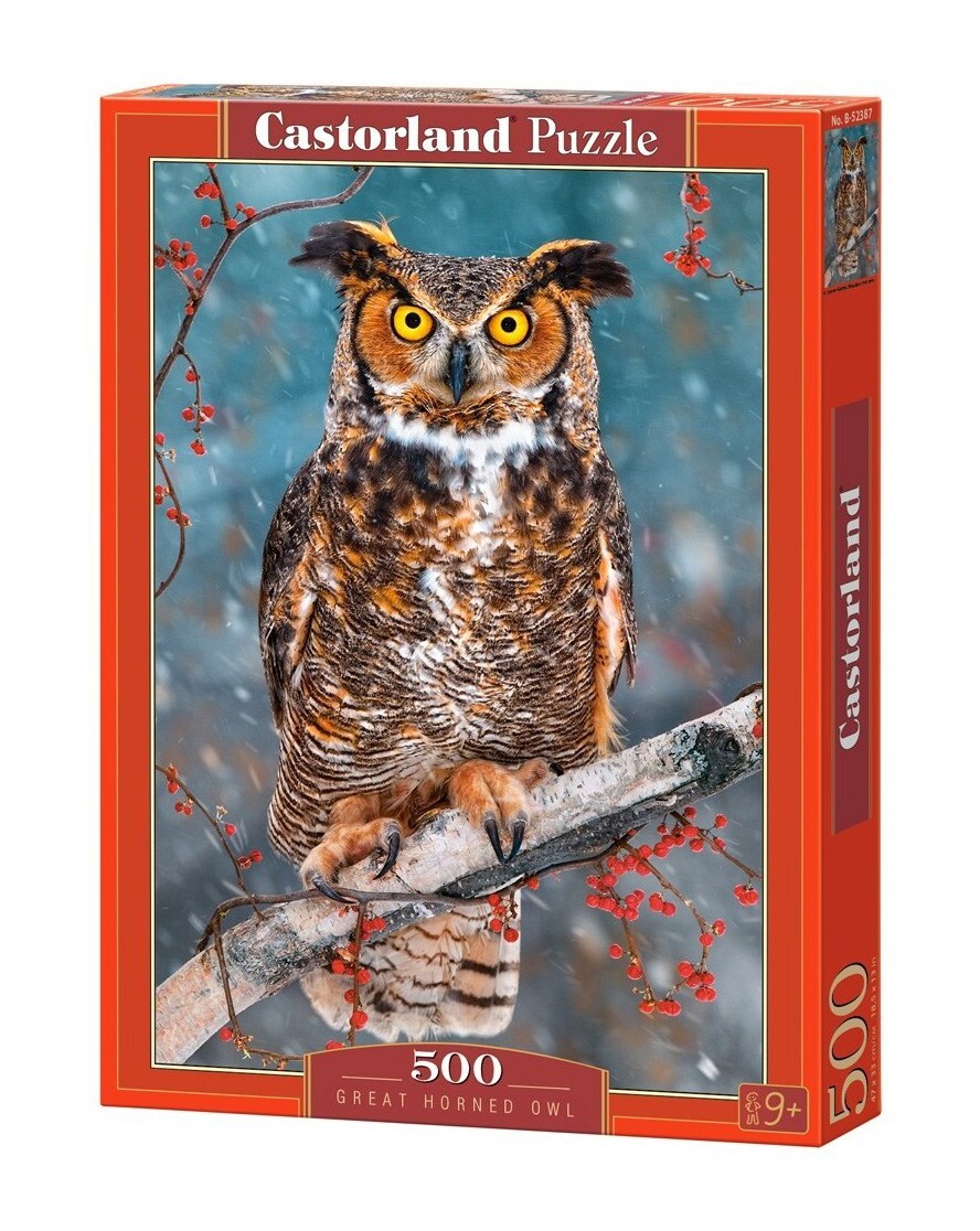 Пазлы 500 Филин CASTORLAND PUZZLE, арт. B-52387